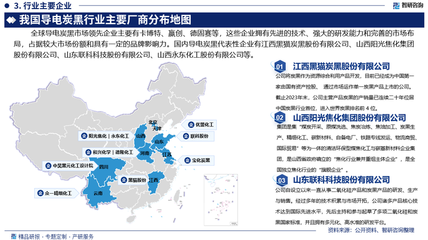 2025-2031年中國導電炭黑行業市場深度研究與投資前景研判